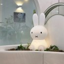 별소아청소년과의원 | 성남 구름별소아청소년과 신생아 설소대 수술 후기