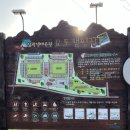 부산 캠핑장 추천 삼락생태공원 오토캠핑장 정보 및 C사이트 후기