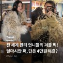 J-052 | 가격부터 감다살! 핀터 속 달마시안 퍼 코디 TIP5