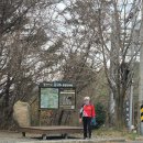 정자,주전 이미지