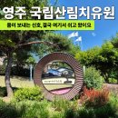 영주평은작은도서관 | 영주 국립산림치유원 1박2일 이용 후기 숙소와 편의시설 총정리