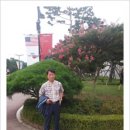 한길행정사 이미지