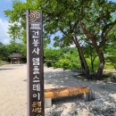 pet31고1704 | 해변의 계절 신나게 떠나본 고성 여행 5편 건봉사 불이문 적멸보궁 왕소나무 화진포 박포수 가든 동치미...