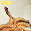 인천 락 실내바다낚시터 이미지