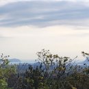 거봉수산