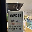 포레스트(FOREST)389 티스토리