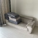 샤크빌리지6 이미지