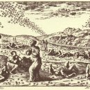 강무농장 | 해충(害蟲)의 피해. 특히 메뚜기, 송충이 피해가 컸다