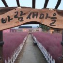 바람새마을 이미지