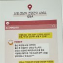 베베앙쥬 이미지