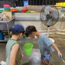 율이네농장 이미지