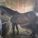 만배축산 이미지