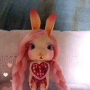 베베스텔라 이미지
