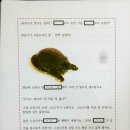 나라세운호랑이 이미지