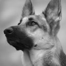 영천중학교 이미지