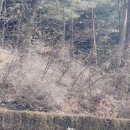 꿈나무공원 화장실 | 수원 아이랑 가볼만한곳, 수원광교박물관 토요일 방문 후기