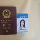 전국글로벌행정사사무소 이미지