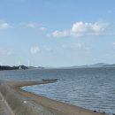 무안-5 | 무안 노을길 마라톤 후기 ! (5Km)