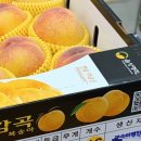 온플루트 | 서촌 카페 라프레플루트, 여름제철과일 복숭아빙수 먹고 온 후기