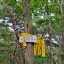 탑통신 이미지
