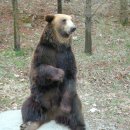 안산상록경찰서 이미지