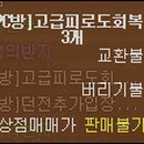 황금돼지 PC방 이미지