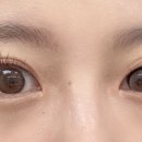 오렌즈-과기대점 이미지