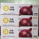 물아혜 이미지
