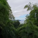 맹종죽테마파크1 이미지