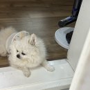 윤하농장 | 밀린 1-2월의 기록,