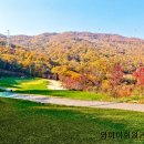 마론컨트리클럽 이미지