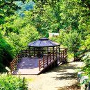 백야자연휴양림 이미지