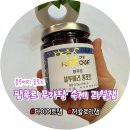 톡톡팜 | 요구르트 토핑으로 추천 다이어트잼 팜푸르 블루베리 수제 과일잼 후기