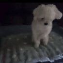 오타쿠