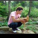 토함산자연휴양림 이미지