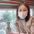 미어캣과 셀카 찍으며 홍대 이색 데이트 후기 : 새로운 눈을 갖게 된 아리와 테이블에이 동물원 마포...