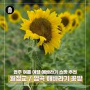 암곡와동경로당 이미지