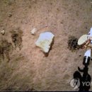 토양웨이