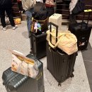 패스트코드 | 베트남 다낭 출국 입국 패스트트랙 솔직 후기 피크타임 할인코드