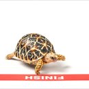 토끼와거북이 이미지