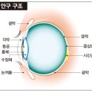 고려대학교 안암병원 이미지