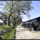 여흘마을 이미지