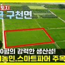 민파머