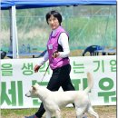 성웅 이미지