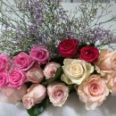 원하농장 이미지