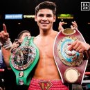 월드복싱클럽 이미지