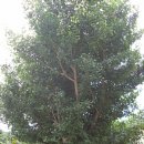 솔마루 민박 이미지