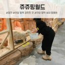 키털이 월드 | 안성 평택 갈만한 곳, 아이랑 다녀온 실내 동물원 쥬쥬핑월드