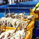 건승유통 이미지