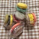 쩡스케이크앤갤러리 이미지